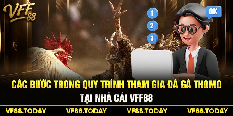 Các bước trong quy trình tham gia đá gà thomo tại nhà cái VFF88