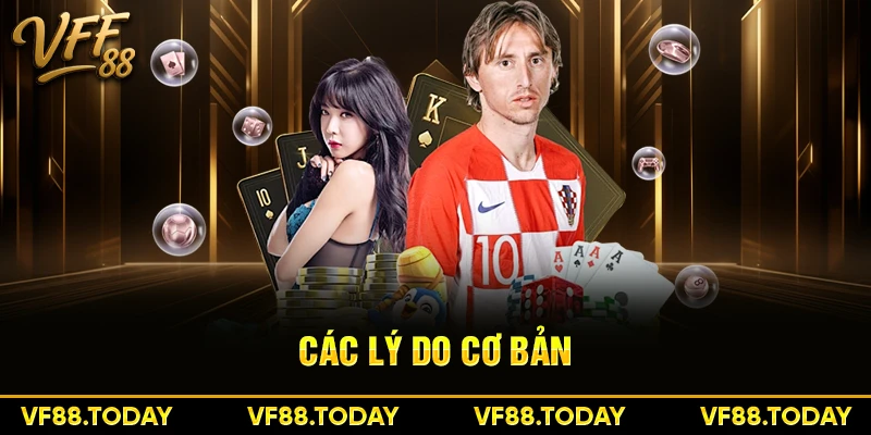 Các lý do cơ bản