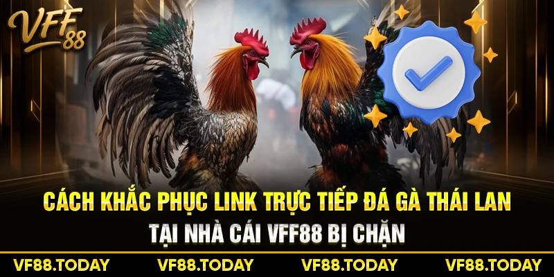 Cách khắc phục link trực tiếp đá gà Thái Lan tại nhà cái VFF88 bị chặn