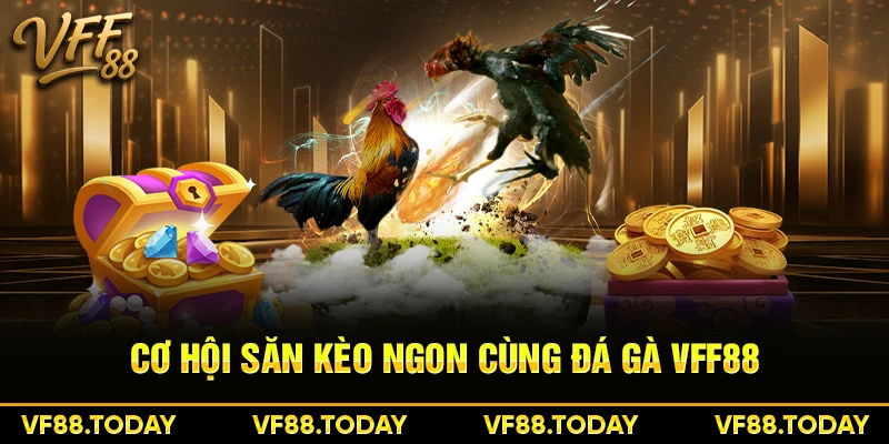 Cơ hội săn kèo ngon cùng đá gà VFF88