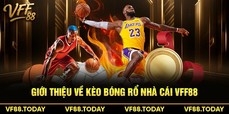 Giới thiệu về kèo bóng rổ nhà cái VFF88