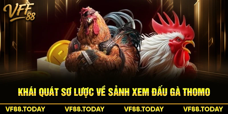 Khái quát sơ lược về sảnh xem đấu gà Thomo