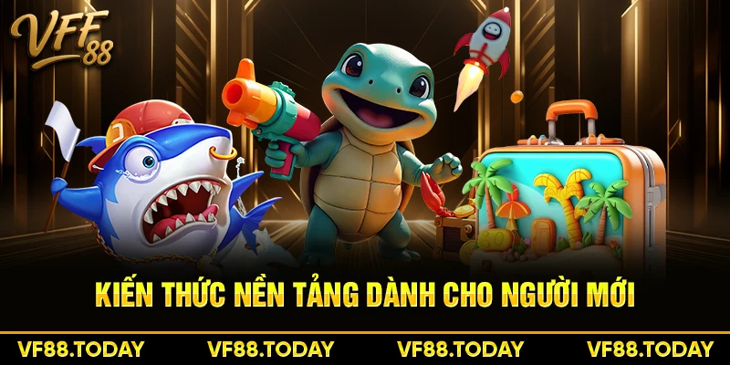 Kiến thức nền tảng dành cho người mới