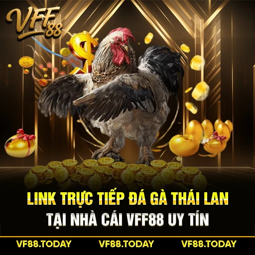 Link Trực Tiếp Đá Gà Thái Lan Tại Nhà Cái VFF88 Uy Tín