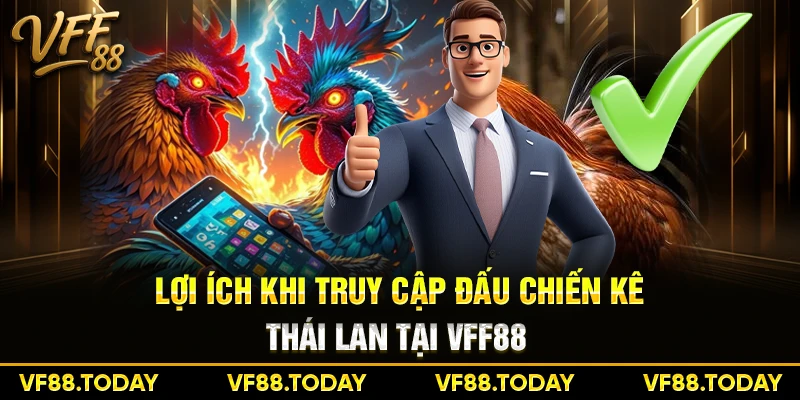 Lợi ích khi truy cập đấu chiến kê Thái Lan tại VFF88