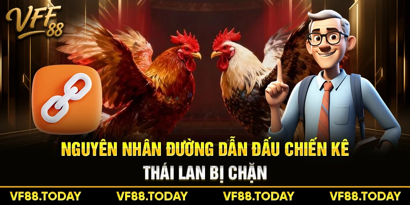 Nguyên nhân đường dẫn đấu chiến kê Thái Lan bị chặn