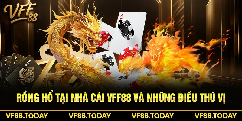 Rồng Hổ tại nhà cái VFF88 và những điều thú vị