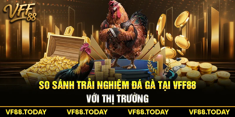 So sánh trải nghiệm đá gà tại VFF88 với thị trường